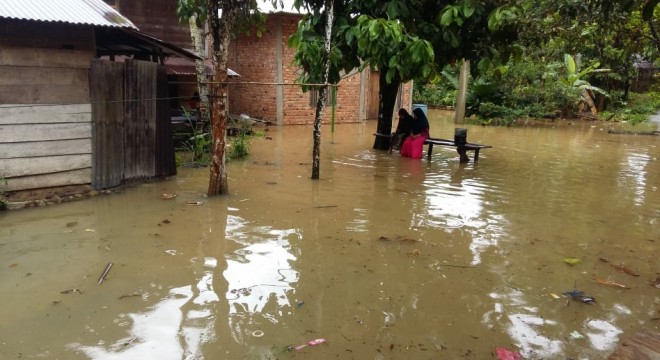 Kondisi banjir di Kecamatan Batang Asai, Rabu (27/2). Foto  : Hadinata / Jambiupdate