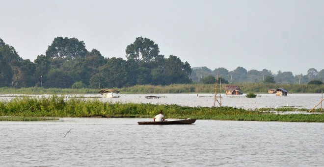 Meluapnya Sungai Batanghari menyebabkan beberapa lahan sawah di Kota Jambi turut terendam, termasuk di Tanjung Sari, Jambi Timur. Petani padi Kota Jambi terpaksa menunda masa tanam. Foto : M Ridwan / Jambi Ekspres