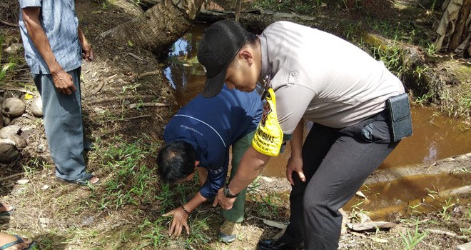 BKSDA, Babinsa, Babinkamtibmas dan masyarakat langsung turun melihat jejak harimau. Foto : Gatot / Jambiupdate