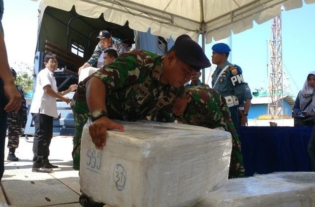 Baby lobster hasil tegahan ketika diamankan di Lanal Batam. (Boni Bani/JawaPos.com)
