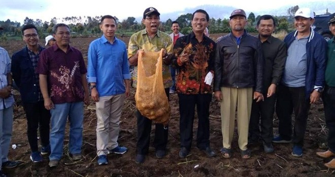Staf Khusus Pimpinan DPR RI Dipo Nurhadi mengunjungi lahan petani kentang Kayu Aro. Foto : Ist