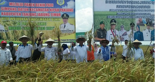 Bupati dan Gubernur Panen Benih Padi di Simpang Datuk. Foto : Ist