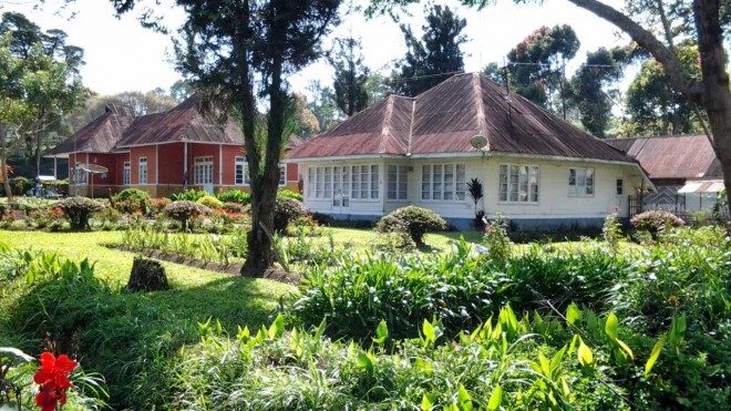 Rumah milik PTPN VI Kayu Aro. 
