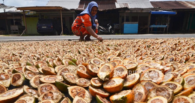 Ilustrasi. Foto : Dok Jambi Update