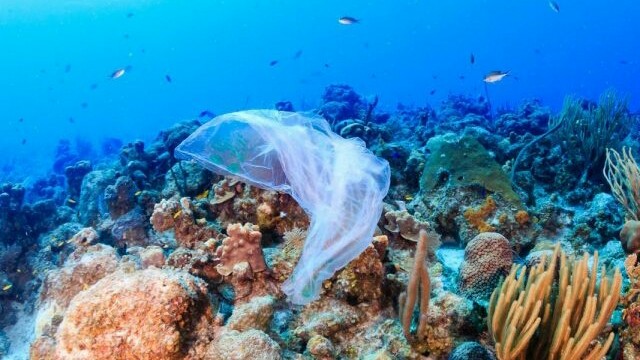 Parlemen Eropa dengan mayoritas besar hari Rabu (27/3) memutuskan larangan alat-alat plastik sekali pakai dan pembatasan sampah plastik melalui daur ulang (Shutterstock)