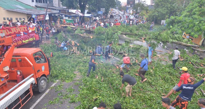 Petugas Dinas Lingkungan Hidup Kota Jambi membersihkan pohon tumbang yang menutupi badan jalan di kawasan SPBU Kebun Jeruk (29/3). Foto : Ist