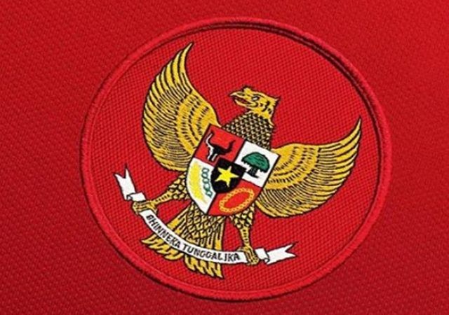 Timnas Putri Indonesia mundur dari Piala AFF U-15 2019 (Istimewa)
