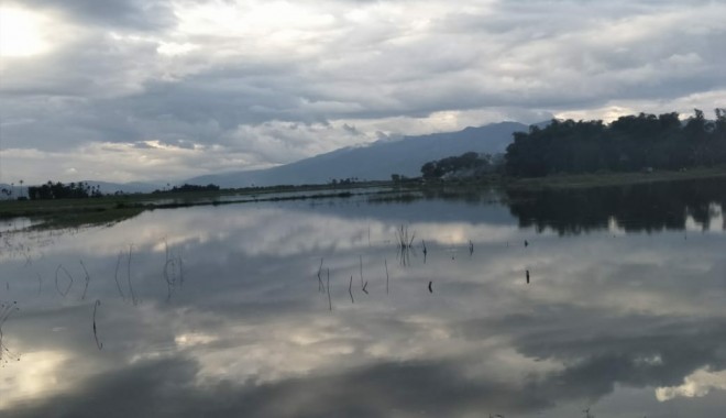 Ratusan hektar sawah di Kerinci terandam banjir mengakibatkan sering gagal panen. Foto : Gusnadi / Jambiupdate
