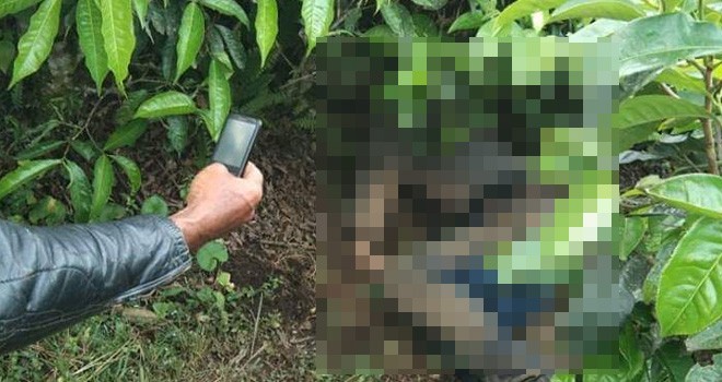 Mayat Afrizal yang ditemukan di perkebunan teh kayu aro beberapa waktu lalu. Foto : Ist