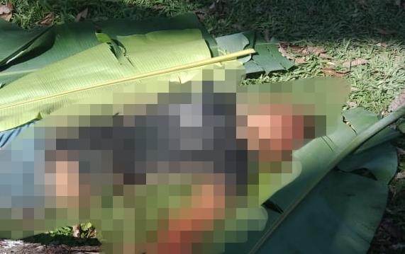 Pencuri di Maro Sebo Ulu Tewas di Hajar Massa. Foto : Ist