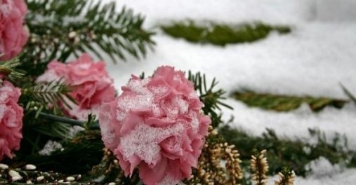 Ilustrasi. Foto : Pixabay