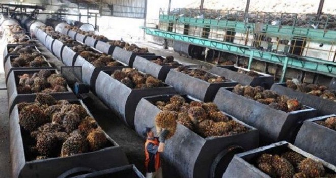 Ilustrasi. Foto : net