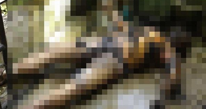 Kondisi tubuh korban yang membakar diri sendiri dan meninggal hari ini. 