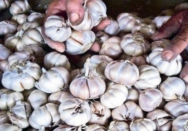 Ilustrasi penjualan bawang putih. Menjelang lebaran, harga bawang putih coba dipertahankan supaya tak melambung. (Dok. JawaPos.com)