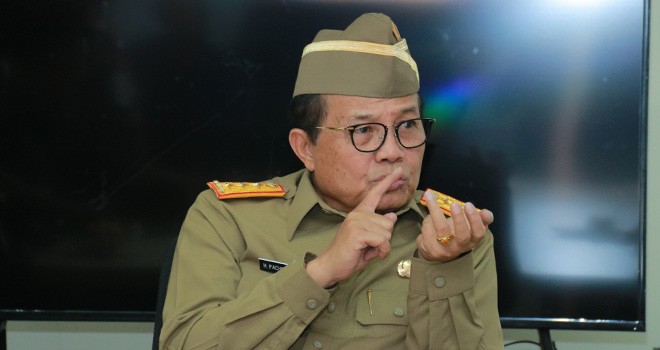 Gubernur Jambi, Fachrori Umar. Foto : Ist