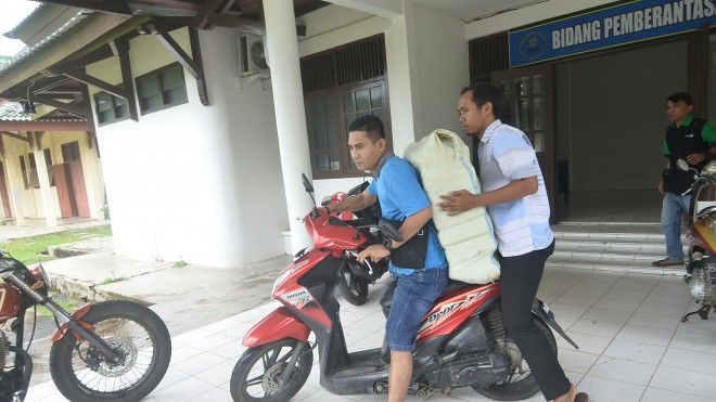 DIAMANAKAN : Tersangka kurir ganja yang berhasil diamankan oleh BNNP Provinsi Jambi saat membawa ganja 75 kg. 