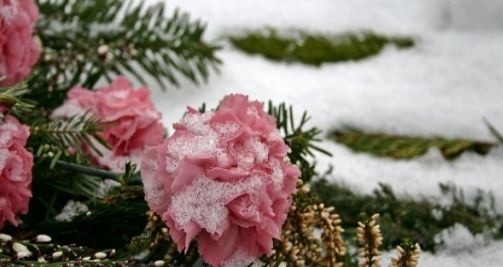 Ilustrasi. Foto : Pixabay