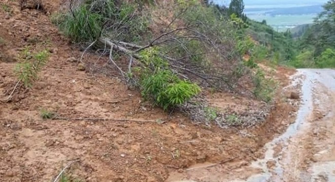 Jalan menuju objek wisata Taman Babusik Ayik di Dusun Tanjung Menanti, Kecamatan Bathin II Babeko, saat ini rusak berat, karena digali oleh orang yang mengaku pemilik tanah di jalan itu. Foto : Ferdian / Jambiupdate