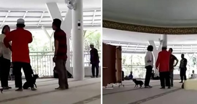 Seorang perempuan bawa anjing masuk masjid mencari suaminya. Foto : Instagram