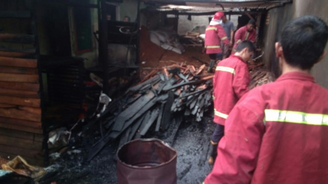 Sijago merah kembali Berkobar di Bangsal Kayu milik Laisdi Narkori, minggu (30/6). 