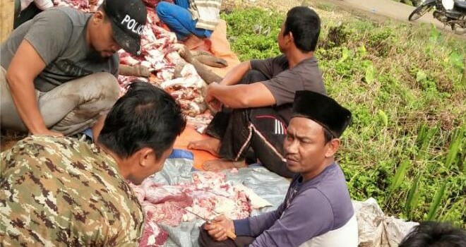 Bupati Romi Sembelih 7 Sapi, Bagikan Ribuan Sembako dan Kain Sarung.