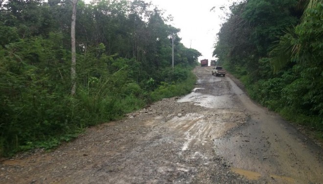 Kondisi jalan ke Pelepat Ilir yang rusak berat.