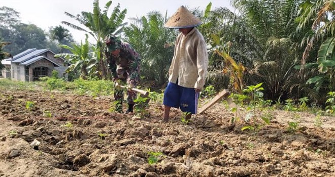 Danramil Rilman Bantu Ratakan Tanah Milik Mbah Mundirun.