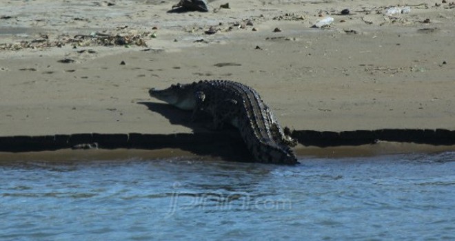 Ilustrasi. Foto : JPNN