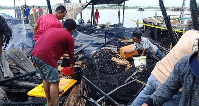 Musibah kebakaran yang menimpa warga Kecamatan Nipah Panjang, Kabupaten Tanjung Jabung Timur (Tanjabtim), pada Selasa (23/7).