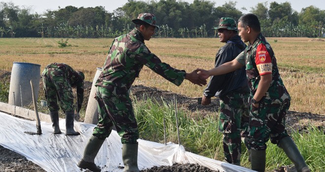 Dandim Dorong Satgas Kerja Lebih Keras.