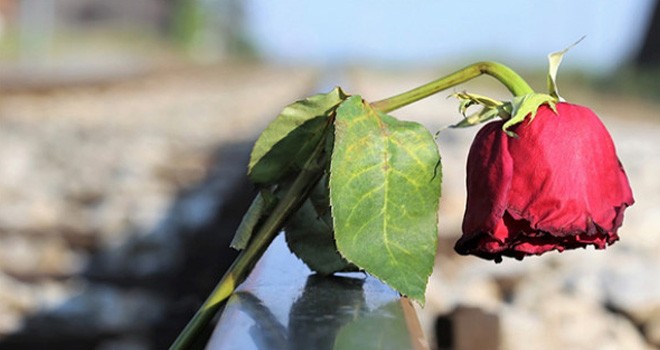 Ilustrasi. Foto : Pixabay