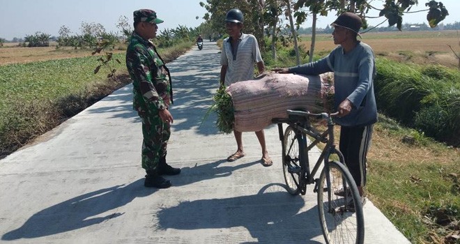 Jalan Dibangun TNI, Angkut Hasil Pertanian Lancar.