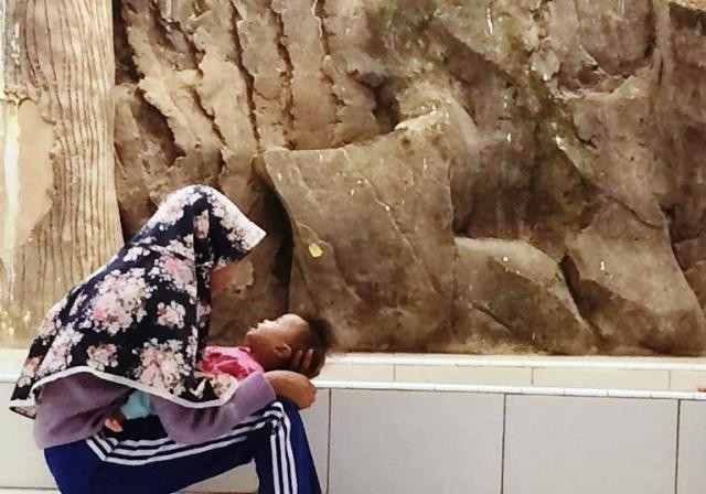 Ilustrasi. Foto : Ist