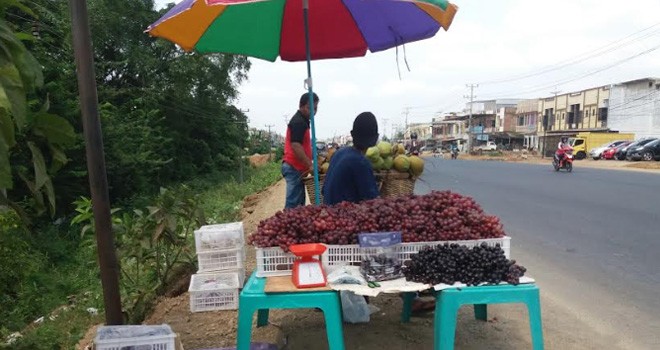 Pedagang Anggur Murah di Bungo.