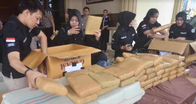 240 kilo gram ganja resmi saat Press Release di Mapolda Jambi.