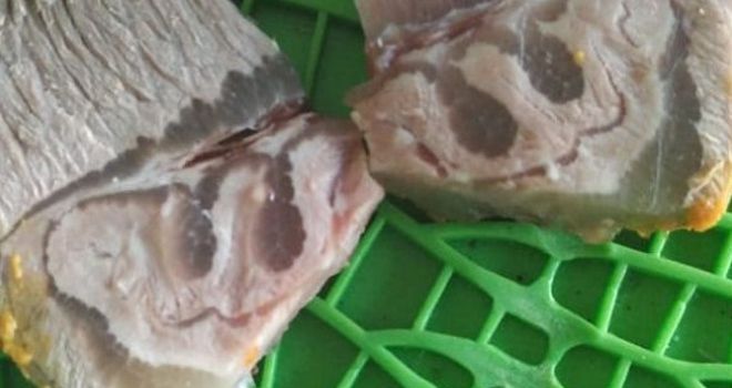 Daging kurban berlafaz Allah.