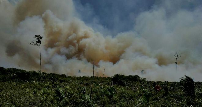 Satgas Karhutla memadamkan api yang membakar beberapa titik lahan di Kecamatan Sadu kemarin (18/8).