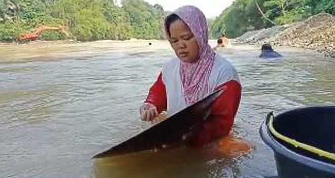Imbas dari anjloknya harga karet, maka warga di Desa Pulau Buayo Kecamatan Bathin VIII, Sarolangun, mendulang emas di sungai.
