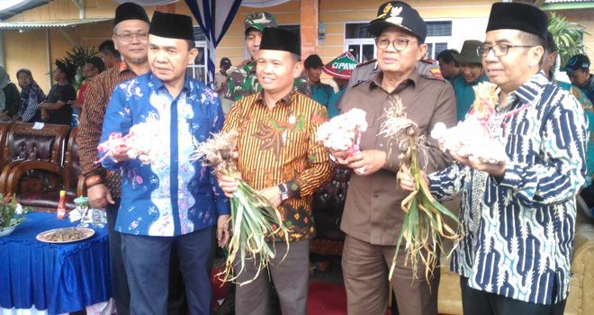 Gubernur Jambi Fachrori Umar dan Bupati Kerinci hadir pada panen raya bawang di Kerinci beberapa waktu lalu.