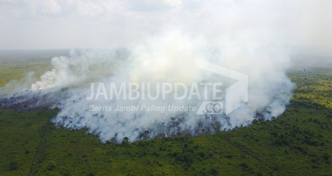 Kebakaran 23 Hektare Lahan di Dendang  beberapa waktu lalu.
