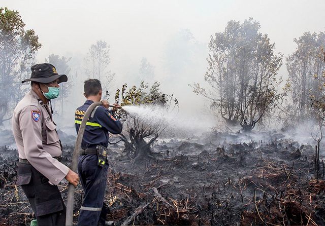 PENGHASIL ASAP: Petugas pemadam kebakaran dibantu polisi berusaha memadamkan api di lahan gambut di Jalan G Obos XIV Ujung, Palangka Raya, beberapa hari lalu.). 

