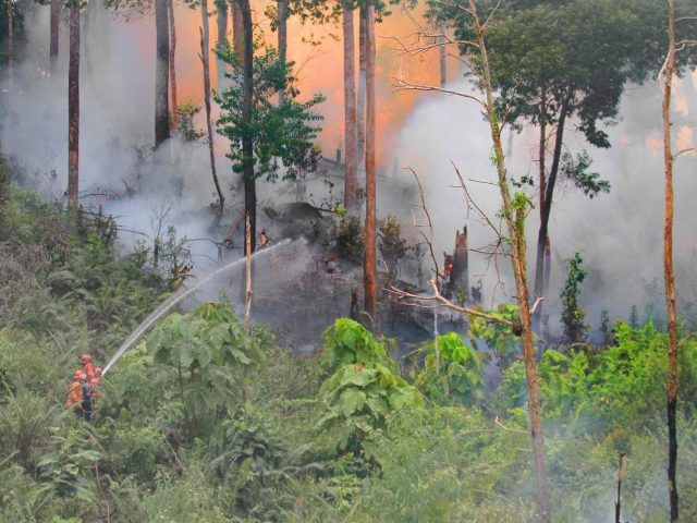 Petugas pemadam kebakaran memadamkan api yang membakar lahan hutan di Tarakan, Kalimantan Utara 

