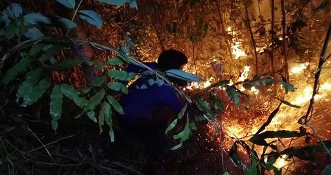 Petugas Damkar mencoba memadamkan api menggunakan alat seadanya. 