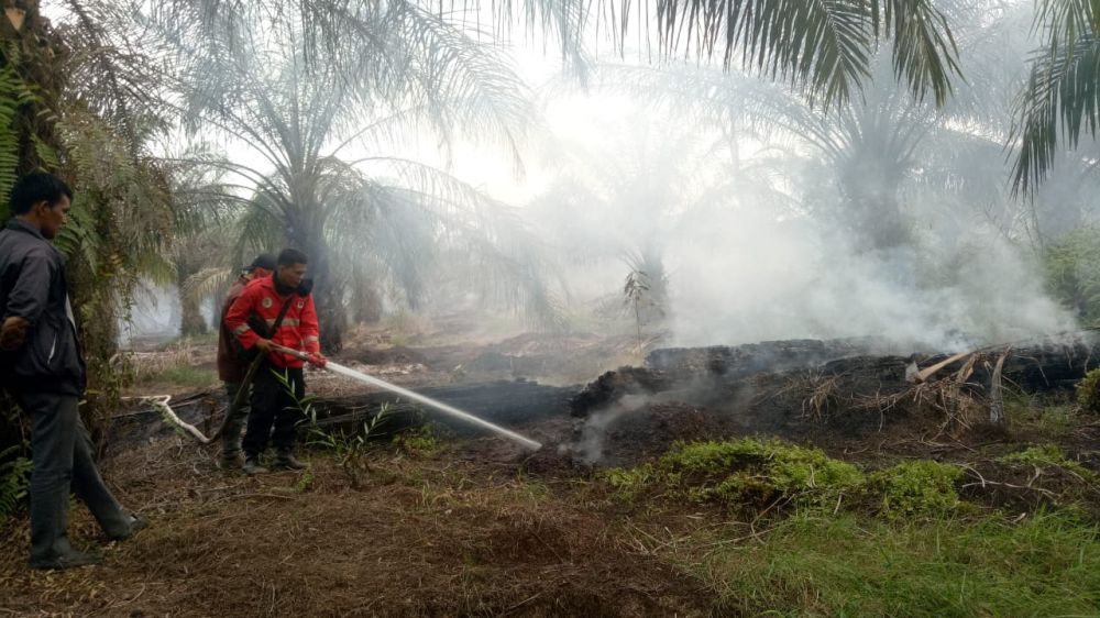 Karhutla di daerah Kabupaten Tanjung Jabung Timur.