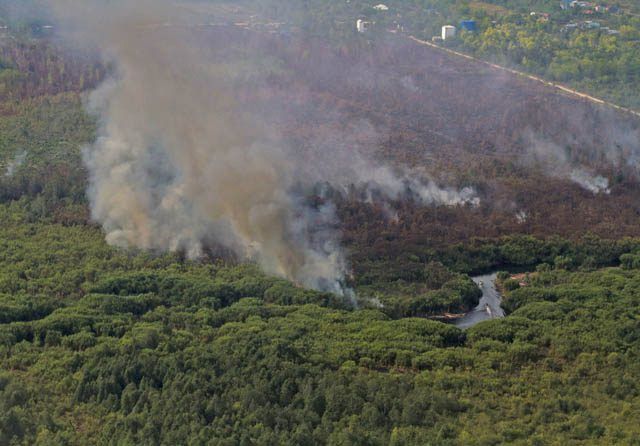 Ilustrasi: Karhutla di Palangka Raya. 

