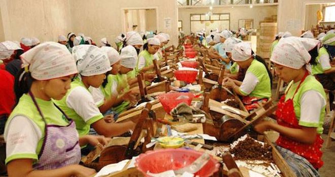 Pekerja di pabrik rokok. 