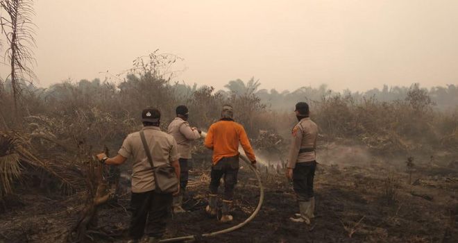 Proses pemadaman api kebakaran lahan oleh Tim Satgas Tanjabtim, beberapa waktu lalu.