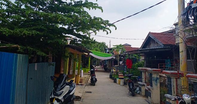 Kabel jaringamn listrik yang ada di jalan Damai, RT 20 Kelurahan Tungkal Harapan Kecamatan Tungkal Ilir, minim penyangga.

 

