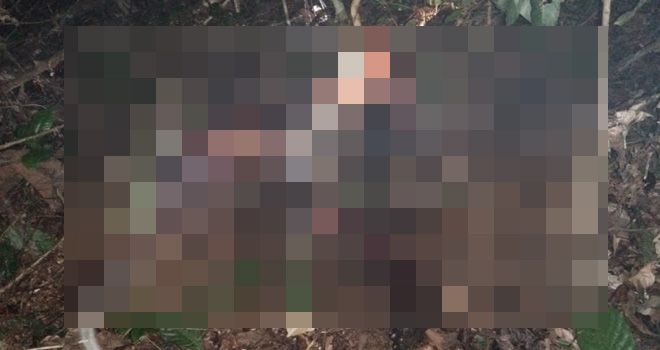 Sesosok mayat laki-laki ditemukan di kebun karet dengan kondisi penuh luka dan hangus terbakar.