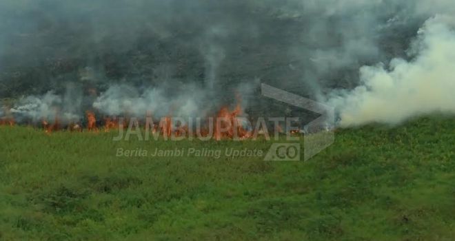Kebakaran Hutan dan Lahan yang terjadi di Jambi beberapa waktu lalu.